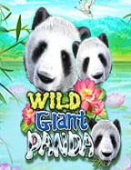 app ดั ม มี่ ได้ เงิน จริงฝาก 1 บาท รับ 99 ที่คุณไม่ควรพลาด